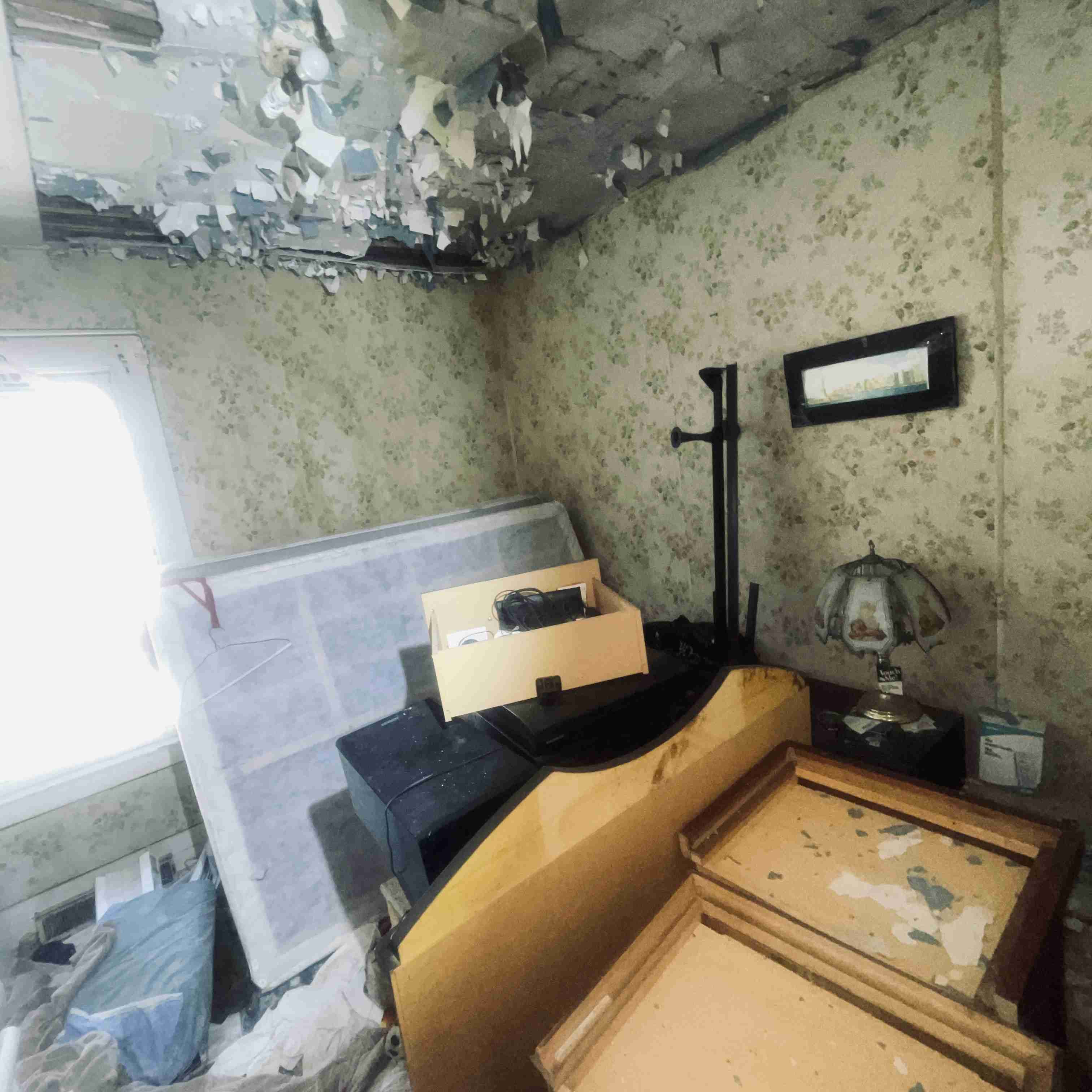 7528 Sarena (32).jpg